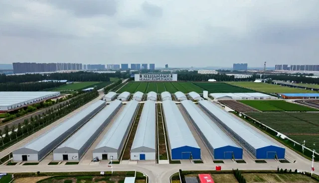 边坡防护工程选型中的关键关注点与未来趋势